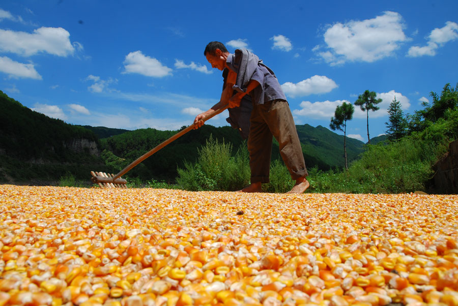 阿里健康由县入村:网络医院升级2.0版本|三亿体育官网(图3) 三亿体育