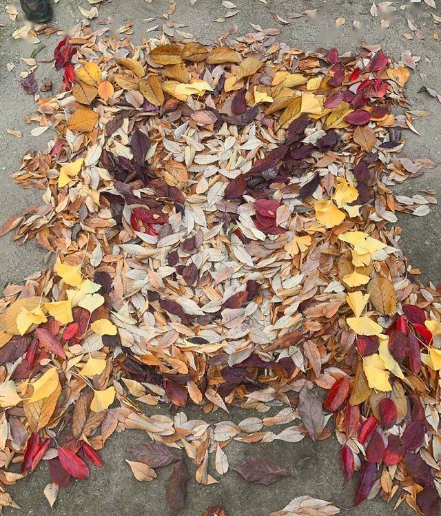 
日本美术老师落叶扫成二次元角色 《鬼灭之刃》粉丝狂喜“三亿体育官网”(图3)