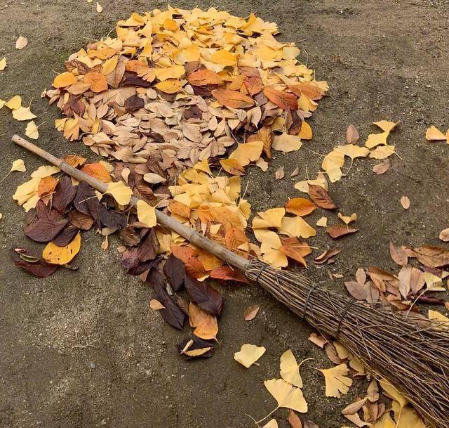 
日本美术老师落叶扫成二次元角色 《鬼灭之刃》粉丝狂喜“三亿体育官网”(图4)