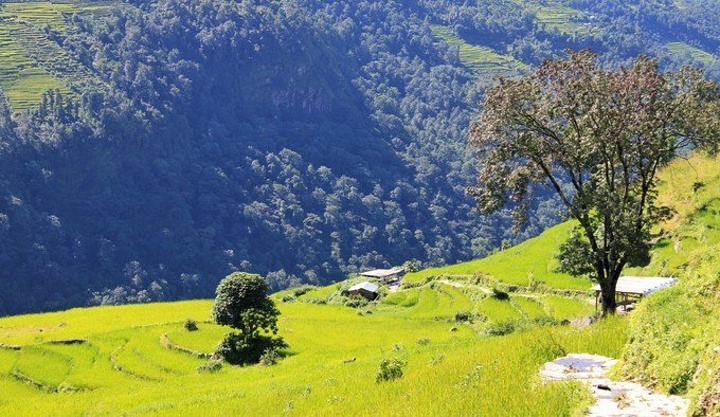 校园日常动画《Slow Start》2018年1月开播 A1制作-三亿体育官网(图3) 三亿体育