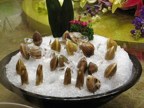 三亿体育官网-10月16日DSN大神出席2016金鹰电竞嘉年