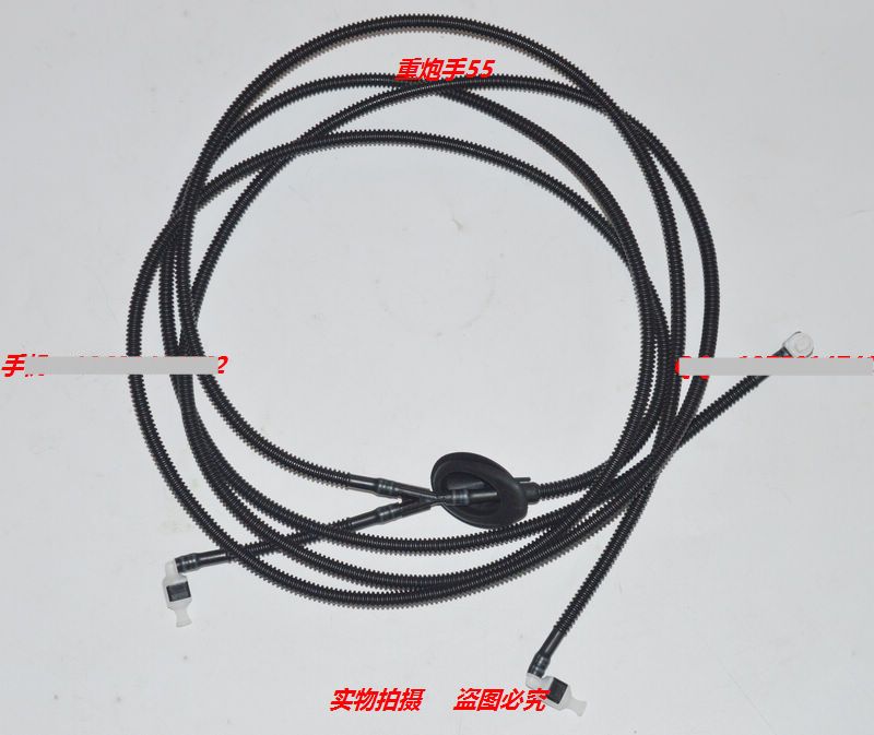 长江白鲟已灭绝,长江十年禁渔,物联网如何保护濒危物种_三亿体育官网(图2) 三亿体育手机版