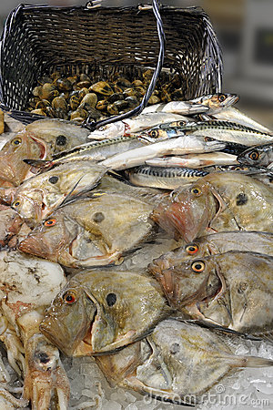 长江白鲟已灭绝,长江十年禁渔,物联网如何保护濒危物种_三亿体育官网(图3) 三亿体育手机版