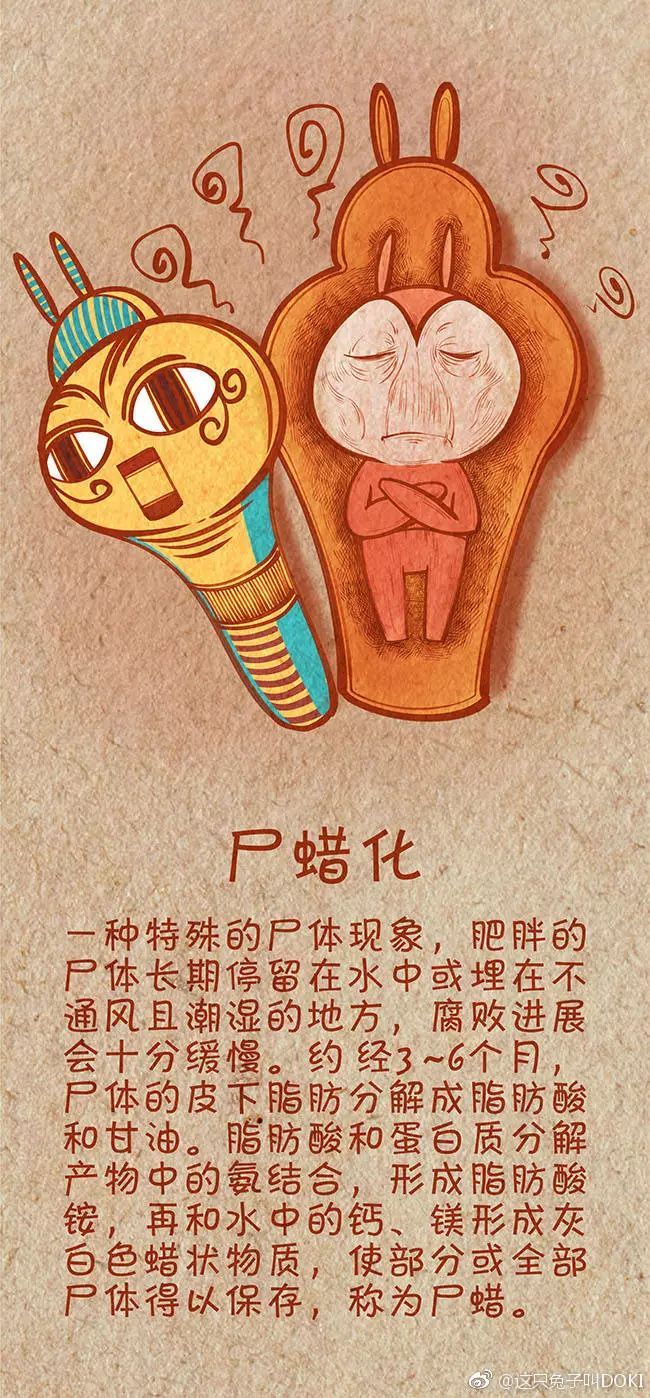 《哪吒之魔童降世》什么时候上映?魔童哪吒评分多少值得看吗‘三亿体育官网’(图2) 三亿体育官网