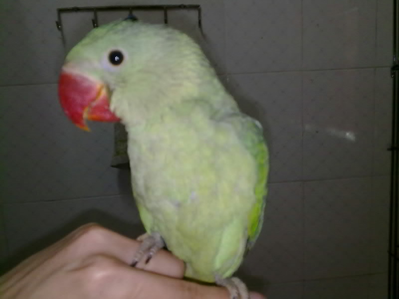 三亿体育官网|车祸现场顾着玩自拍?救护人员被发配沙漠(图3) 三亿体育手机版