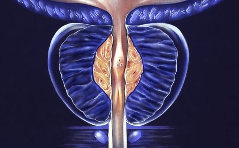 《海贼王》全球发行量4.4亿册 最新剧场版预告释出-三亿体育