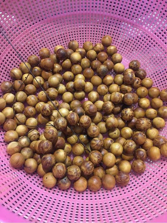 三亿体育手机版