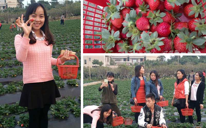 三亿体育手机版