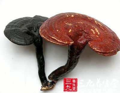 三亿体育|
黄圣依晒安迪课后作业 全英文注解引发烧议 果真一家人都是学霸(图5) 三亿体育官网