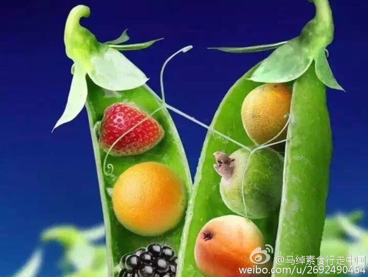 三亿体育手机版