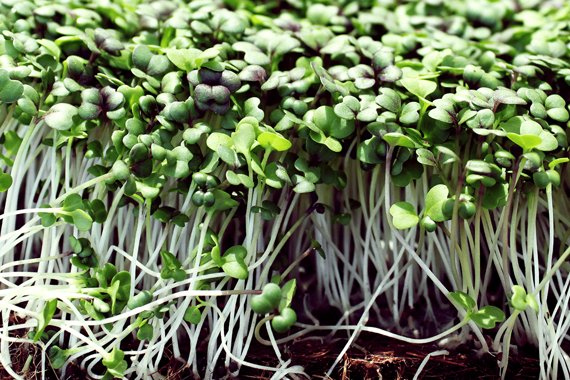 三亿体育手机版|现在才公开？电影《东京喰种》演员追加