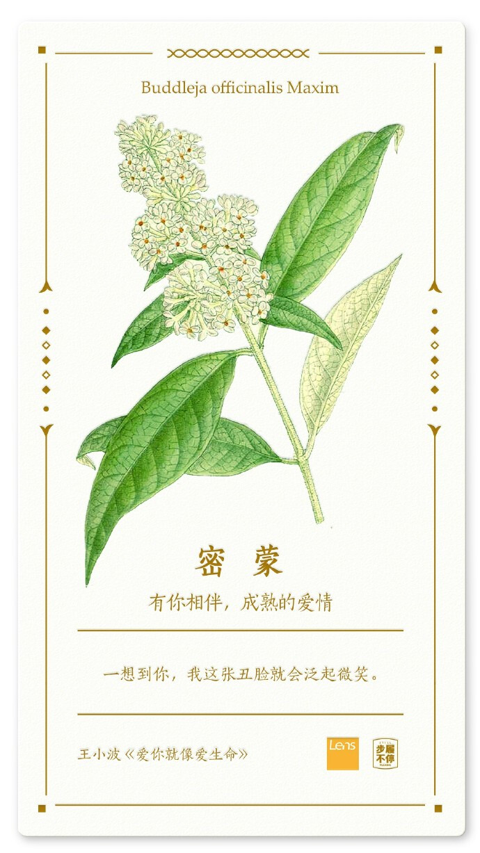 
韩国电竞有多黑？为赢角逐出种种手段 停电、封号、重赛|三亿