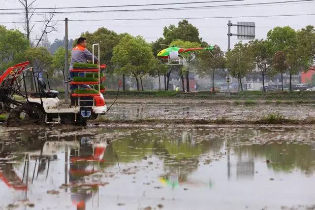 明星的游戏名都叫啥?万茜可爱 林更新自恋 看到薛之谦:太嚣张“三亿体育”(图6) 三亿体育手机版