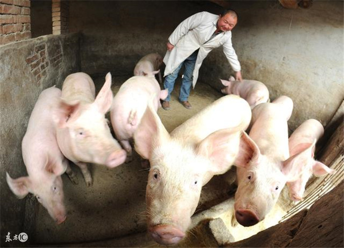 残月之肃 厄斐琉斯技能介绍-三亿体育官网