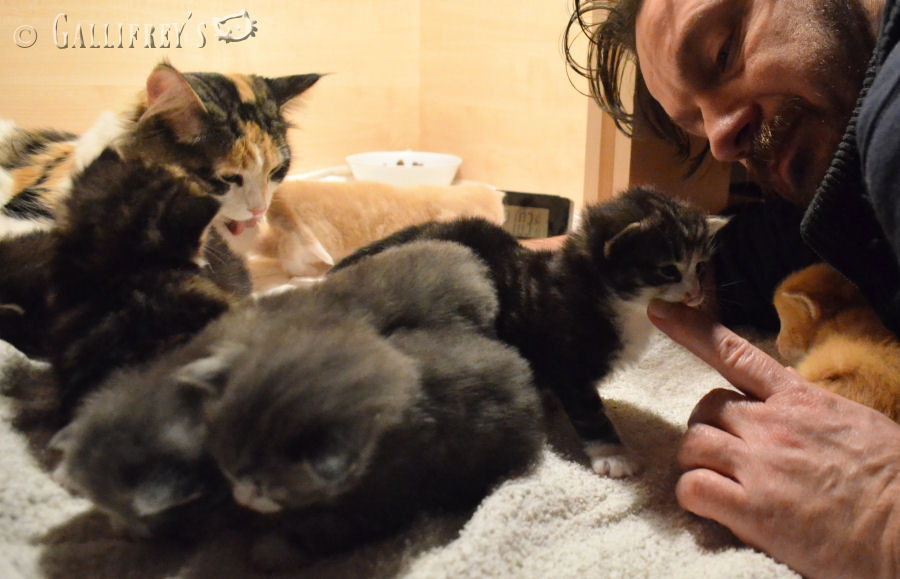 澳门电竞嘉年华大咖云集震撼来袭，综皇兜兜受邀全程主持_三亿体