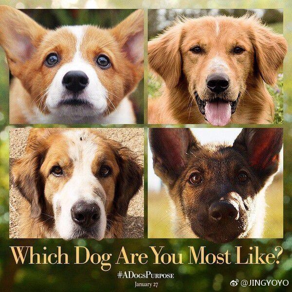 【三亿体育官网】盘点王者中那些被“玩坏”的英雄,你的玩法正确吗?(图3) 三亿体育手机版