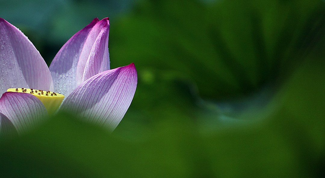 ‘三亿体育手机版’
【盘货】6款有趣的微信小游戏 隔着屏幕也能卖个萌(图2) 三亿体育官网